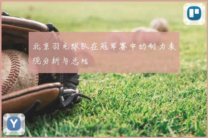 北京羽毛球队在冠军赛中的耐力表现分析与总结