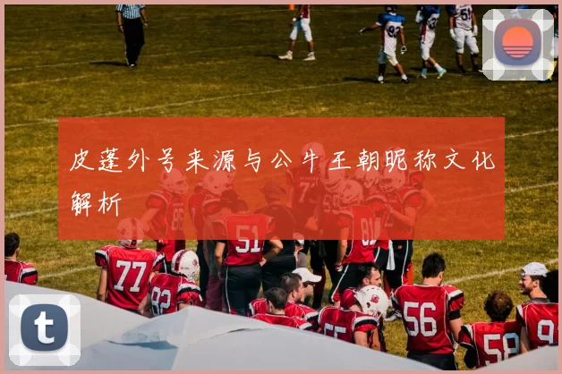 皮蓬外号来源与公牛王朝昵称文化解析