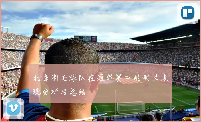 北京羽毛球队在冠军赛中的耐力表现分析与总结