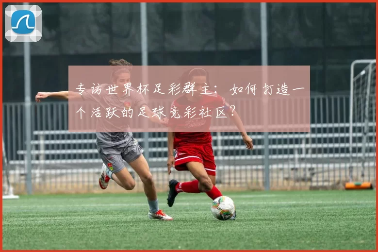 专访世界杯足彩群主：如何打造一个活跃的足球竞彩社区？