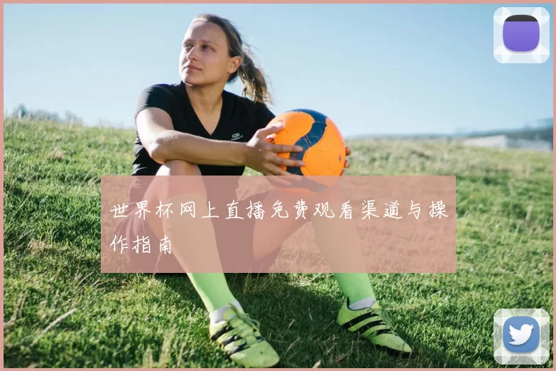 世界杯网上直播免费观看渠道与操作指南