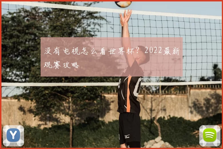 没有电视怎么看世界杯？2022最新观赛攻略