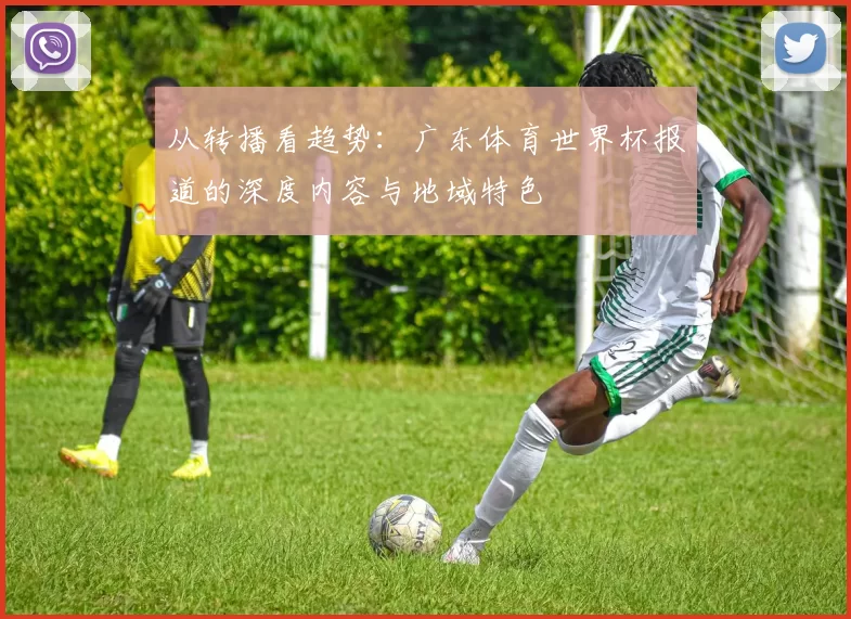 从转播看趋势：广东体育世界杯报道的深度内容与地域特色