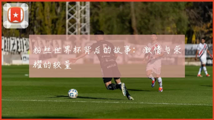 粉丝世界杯背后的故事:激情与荣耀的较量