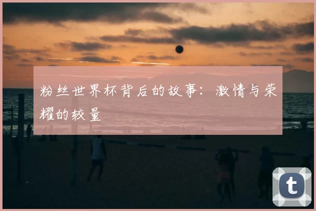 粉丝世界杯背后的故事：激情与荣耀的较量